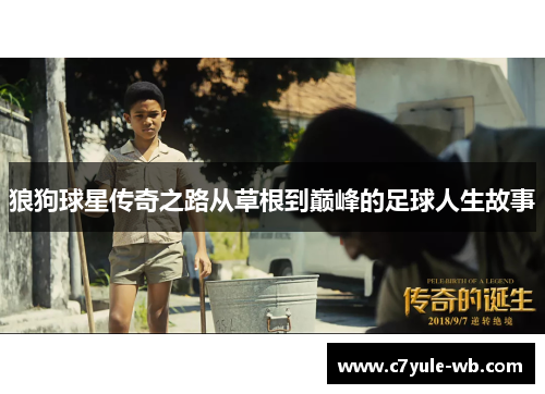 狼狗球星传奇之路从草根到巅峰的足球人生故事