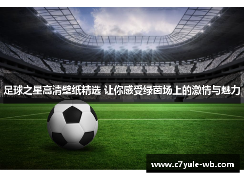 足球之星高清壁纸精选 让你感受绿茵场上的激情与魅力