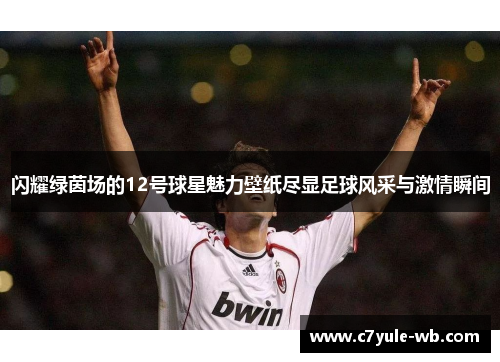 闪耀绿茵场的12号球星魅力壁纸尽显足球风采与激情瞬间